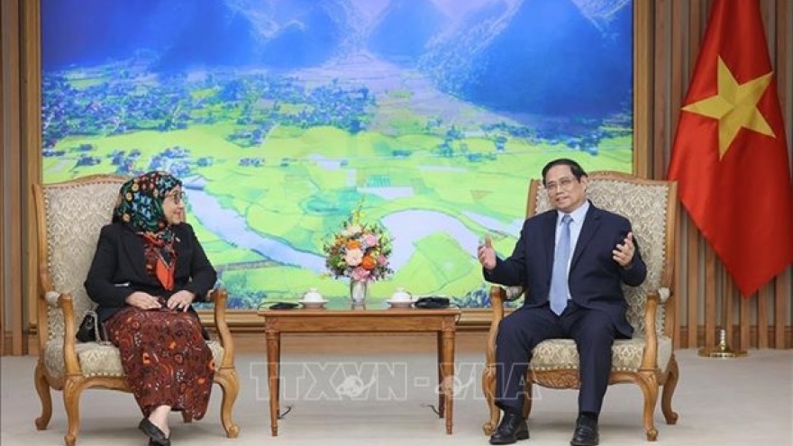 PM Pham Minh Chinh hosts Bruneian Ambassador